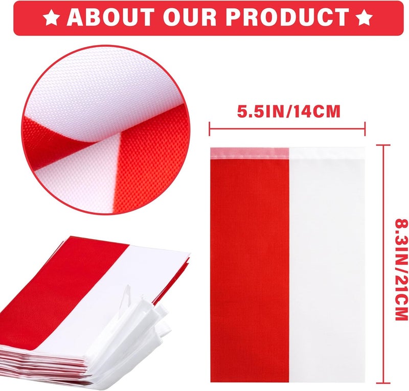 MVPRING Poland String Flag Pennant Banner, Small Mini Polish Flags Bunting Banner, National Country Decoration for School, Party, Sports Events, Patriotic Festival, 33 Feet 30 Flags - Image 3